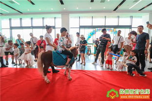 徐州樹恩教育國際藝術(shù)中心成功舉辦開放日活動